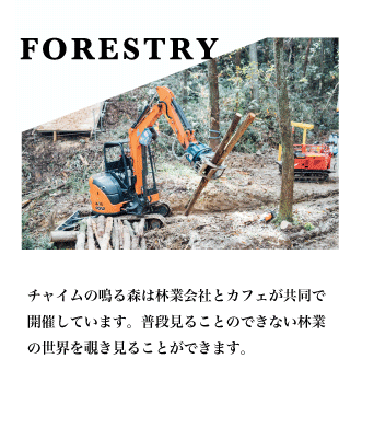 forestry